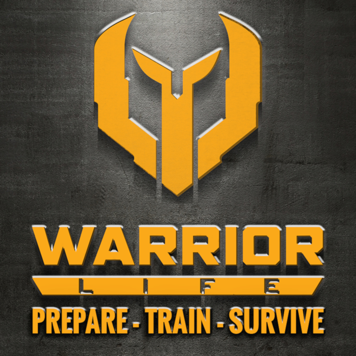 warrior life podcast on trauma medical